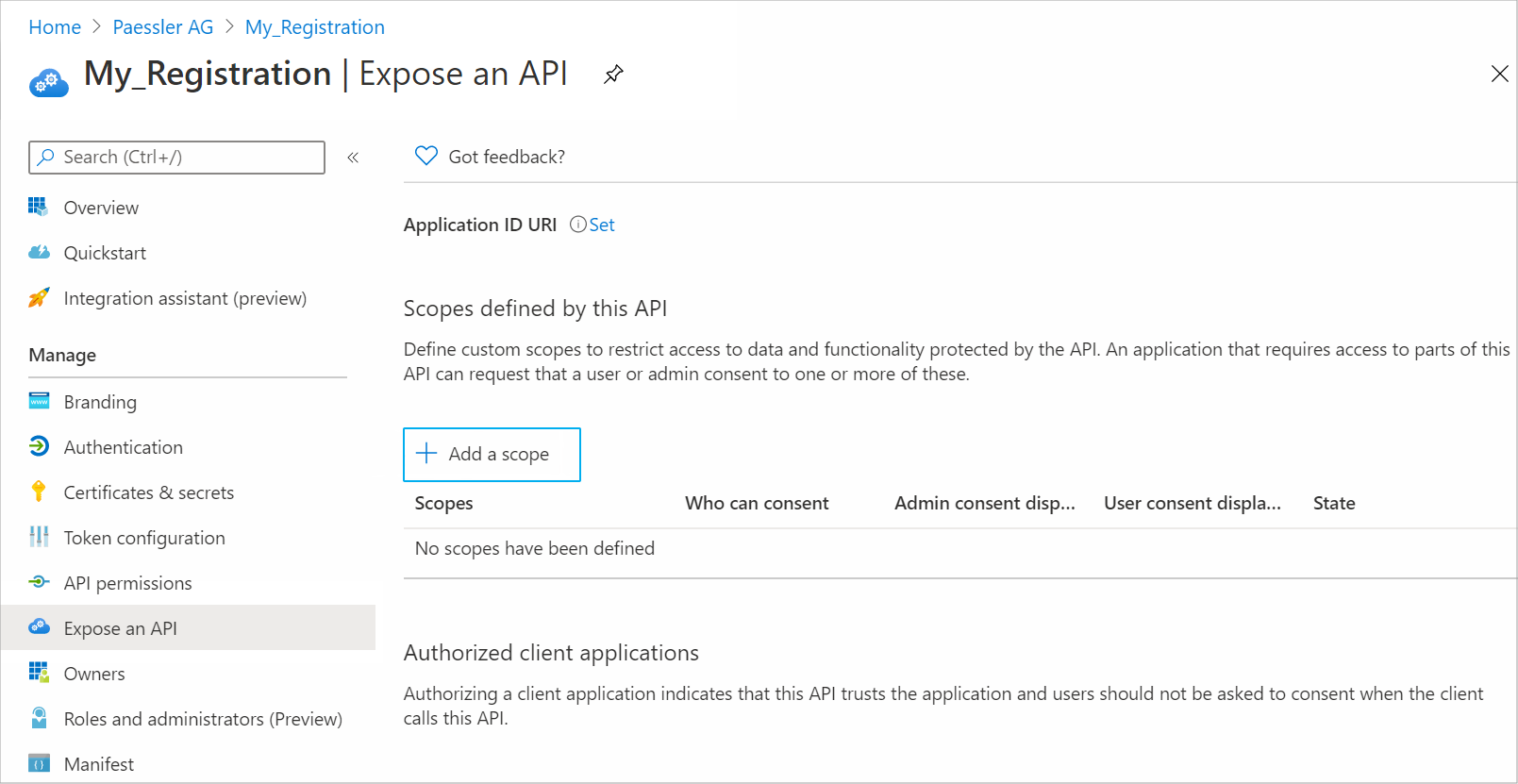 Expose an API Tab